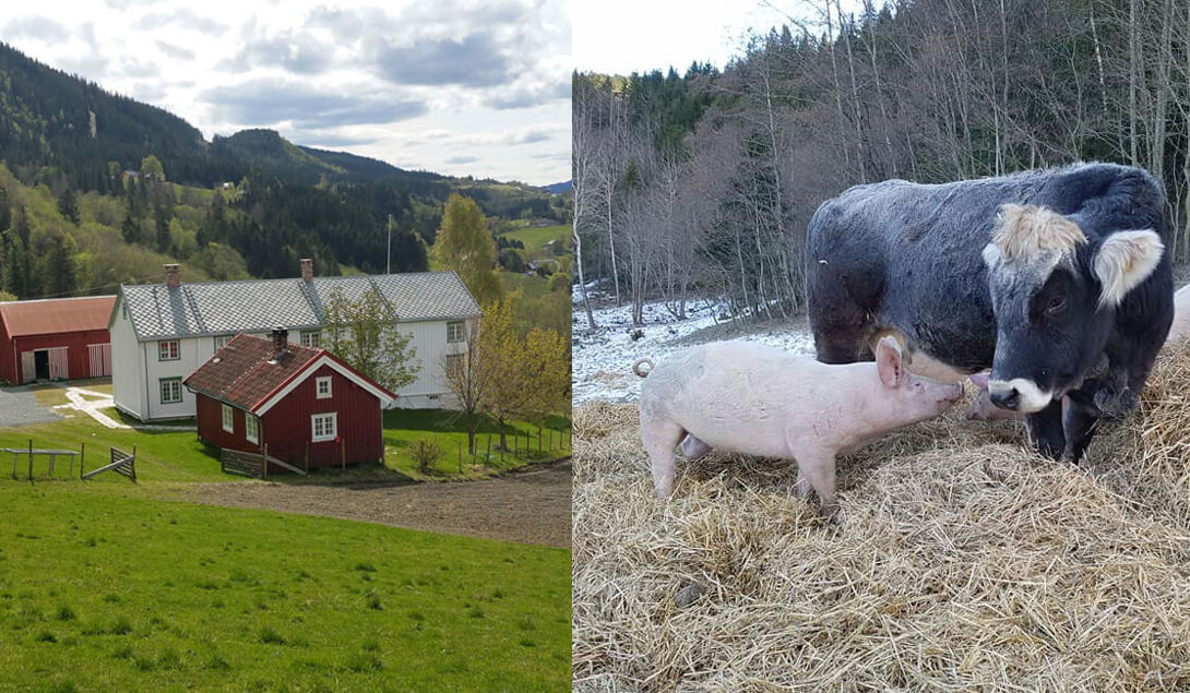 Gammelgården Lysklæt