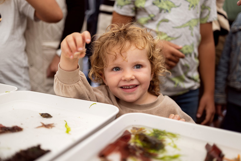 Kids activities