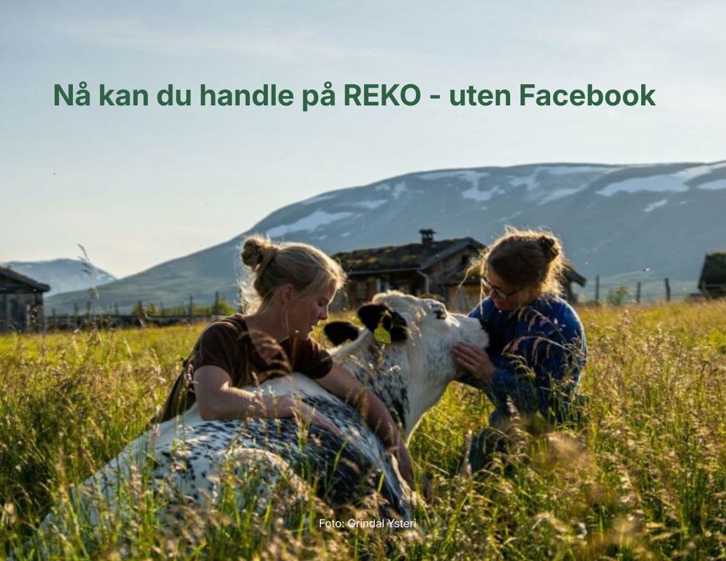 Vi tester digital REKO-bestilling i Trondheim - bli med!